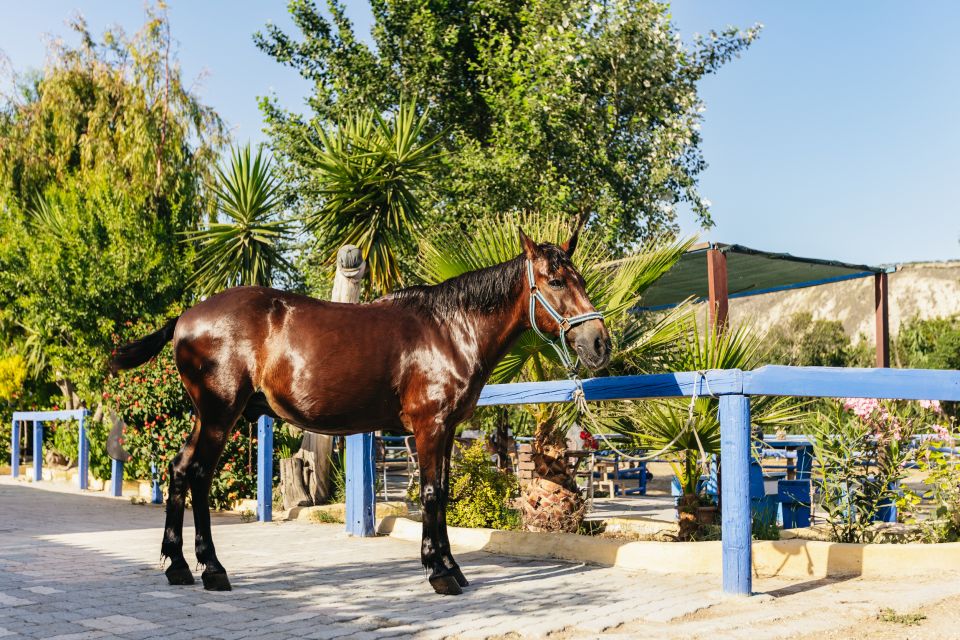 Heraklion: Finikia Horse Riding Tour With Lunch or Dinner - Savoring Cretan Cuisine