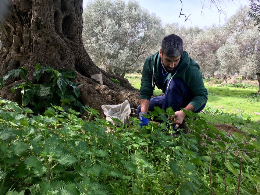 Heraklion: Private Cooking Class & Dinner at a Village House - Dinner Setting