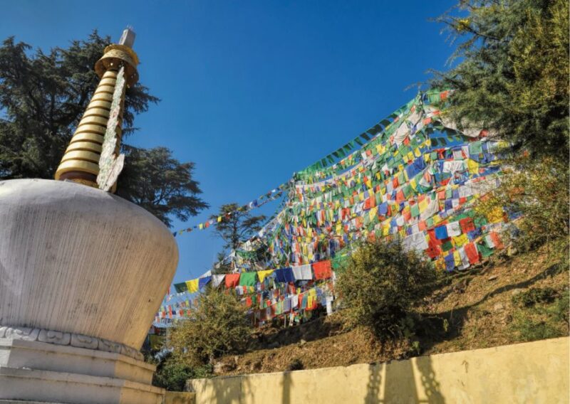 Heritage & Cultural Trails of McLeodGanj Guided Walking Tour - Cultural Insights
