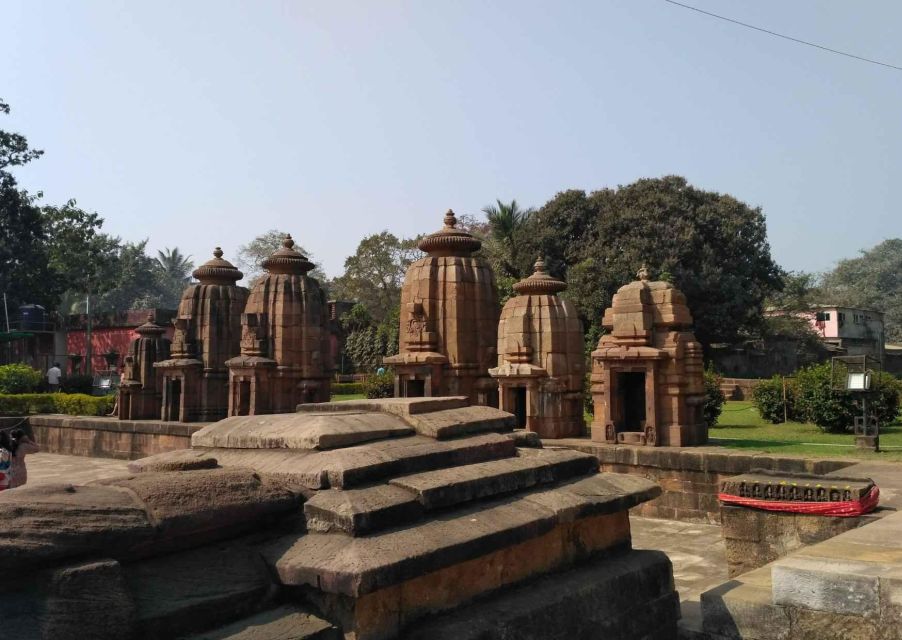 Heritage & Cultural Walk of Bhubaneswar (2 Hours Guided Walk - Participant Information