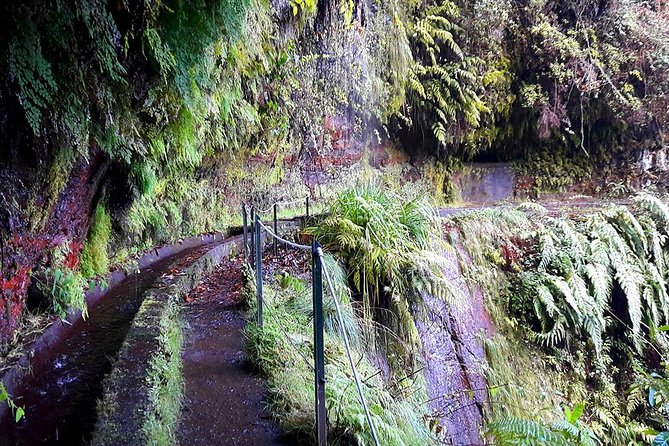 Hidden Corners: Levada Walk From Funchal - Accessibility and Limitations