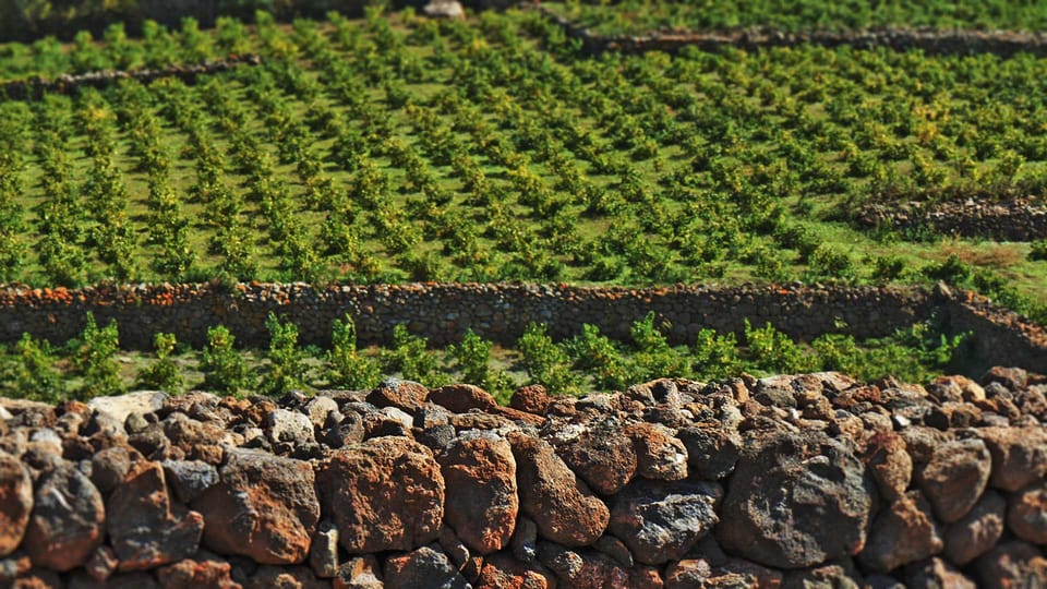 Hidden Pantelleria Tour - Islands Naturalistic Potential