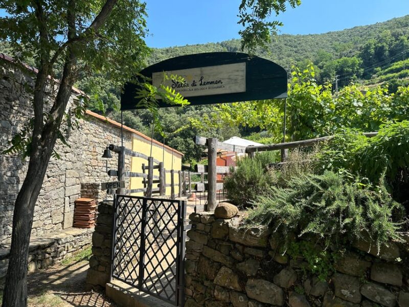 Hiking and Wine Tasting Experience - Important Information and Requirements