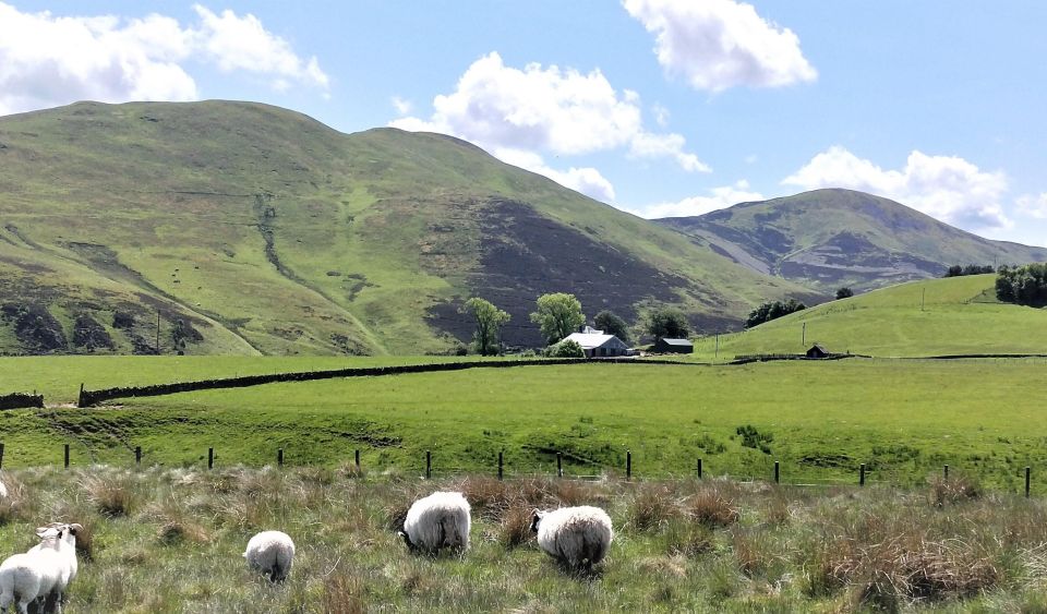 Hill & Nature Hike - Discover Real Edinburgh With a Local - Hiking Experience Highlights