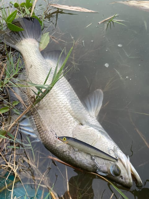 Ho Chi Minh City: Barramundi Fishing Day Tour - Booking Information