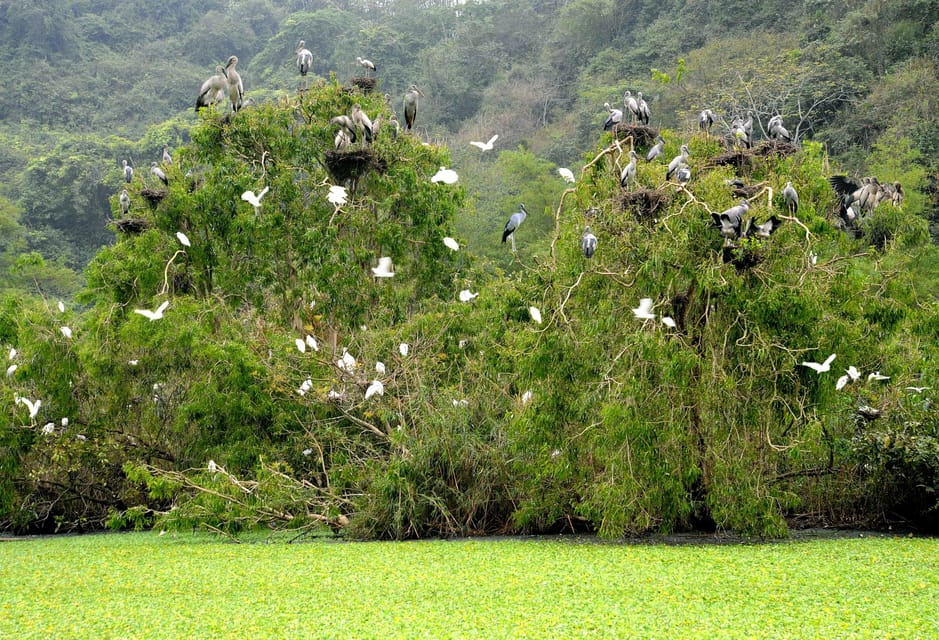 Hoa Lu Ancient - Bich Dong & Thung Nham Bird Valley - Included Services