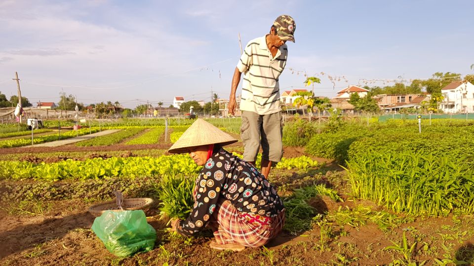 Hoi an Ancient Town and Traditional Village by Bicycle - Included Services