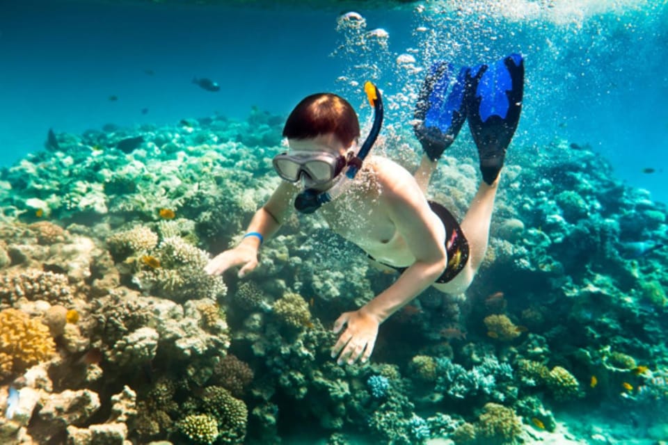 Hoi An: Cham Island Snorkeling or Underwater Walking Tour - Inclusions and Exclusions