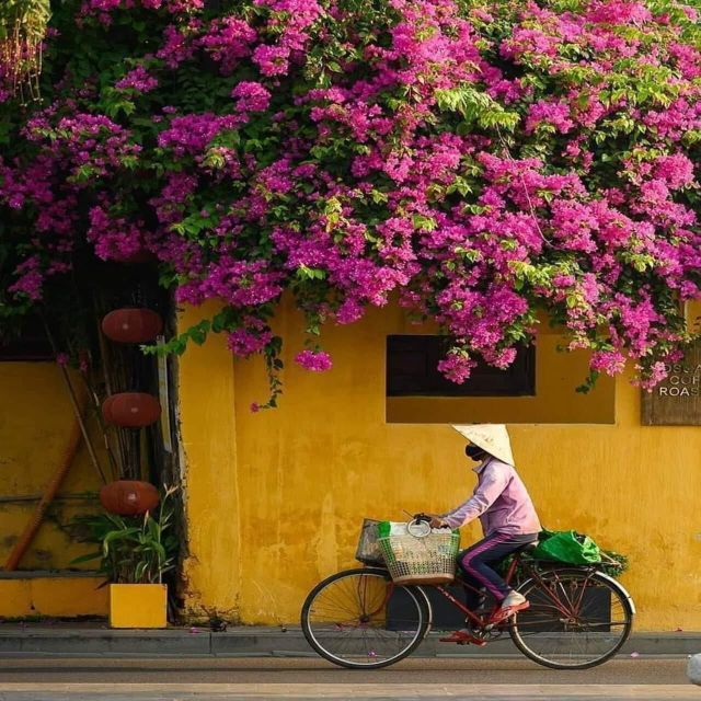 Hoi An City Tour From Hoi An/ Da Nang by Private Tour - Inclusions and Exclusions