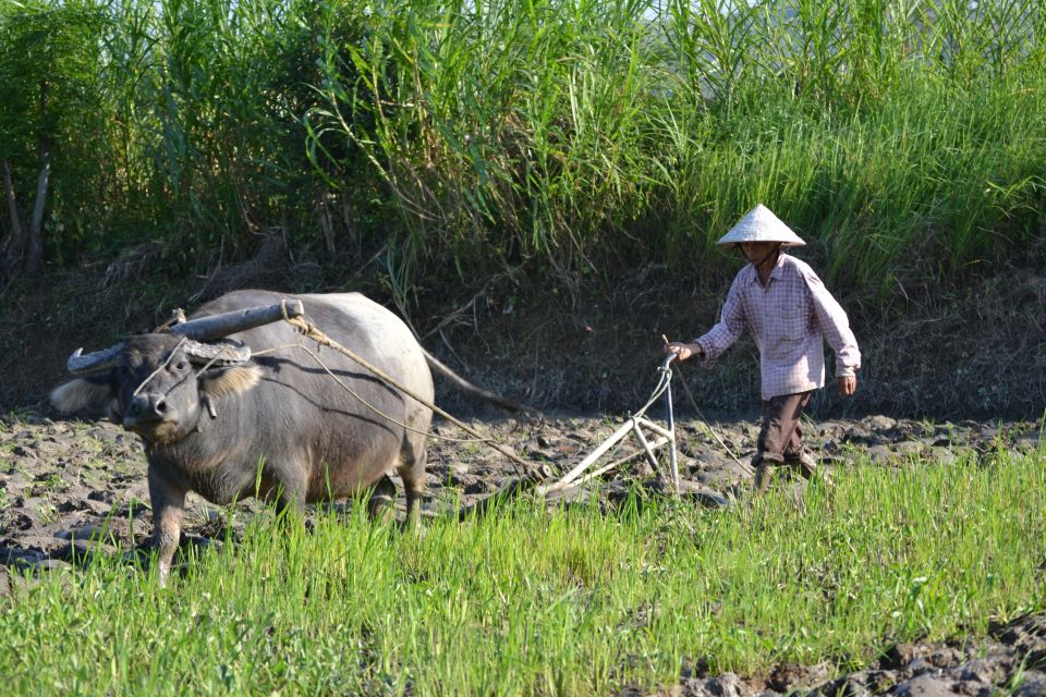 Hoi An Countryside Bicycle Tour : 25 Km Real Vietnam - Preparation Tips