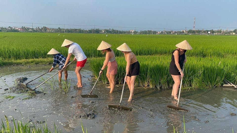 Hoi An: Cycling, Buffalo Riding,Be a Farmer and Fisher Man - Engaging in Buffalo Riding