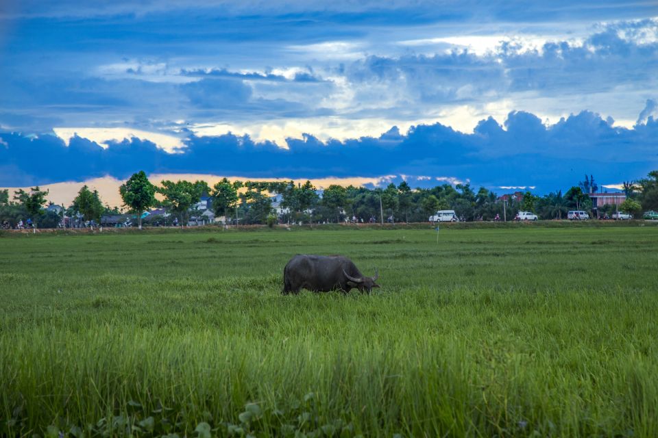 Hoi An: Evening Food Tour by Bike - Inclusions