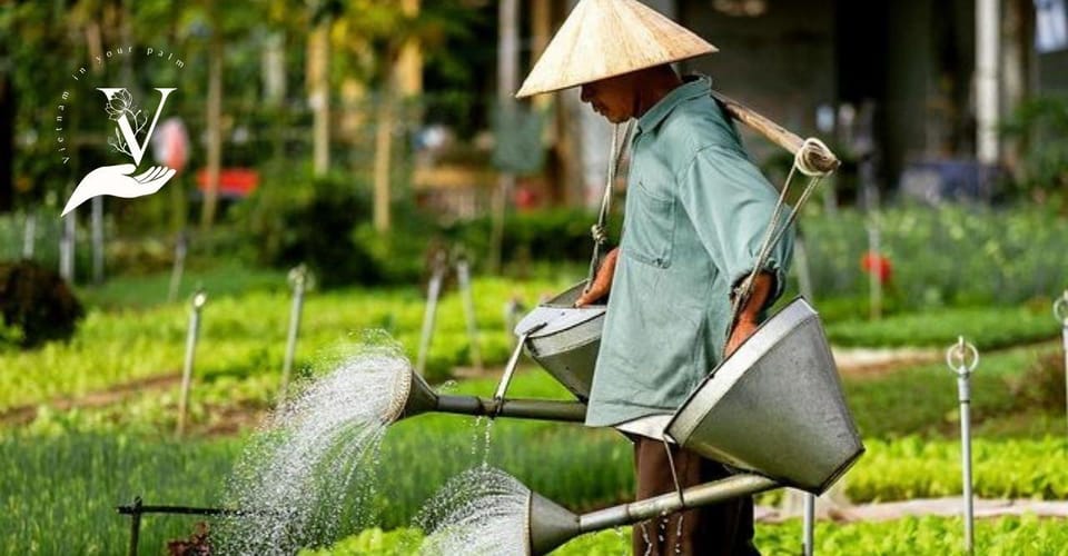 Hoi an Food - Eat Where the Locals Eat - Travel Guide Book - Must-Try Dishes in Hoi An