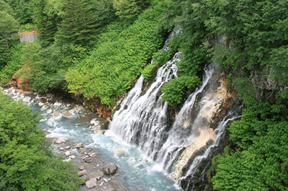 Hokkaido Asahiyama Zoo Tour With Melon Buffet Option - Accessibility Features