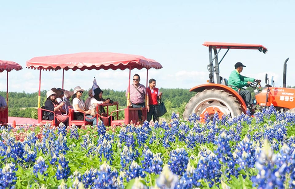 Hokkaido:Biei Blue Pond,Flower Fields, Ningle Terrace Trip - Lunch Experience