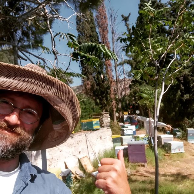 Honey Tasting on Naxos Island - Bees and Beekeeping