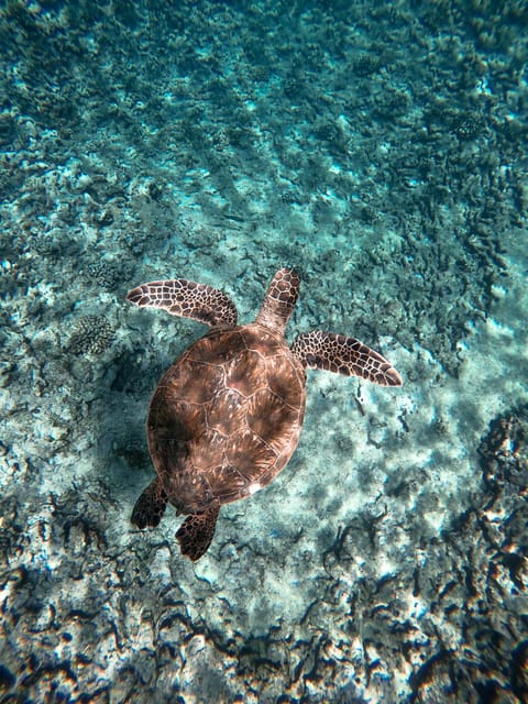 Honolulu: Private Waikiki Boat Cruises for up to 6 People - Meeting Point