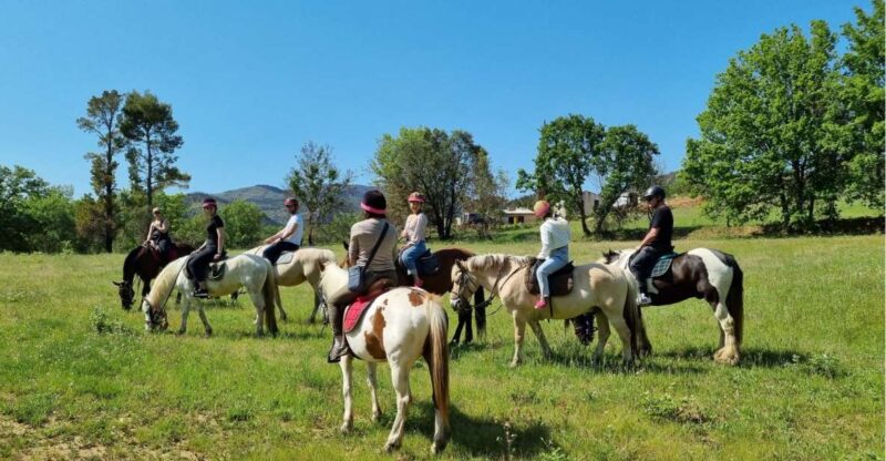 Horse Back Riding + Wine Tasting in the Maures Forest - Wine Tasting at Clos Servien