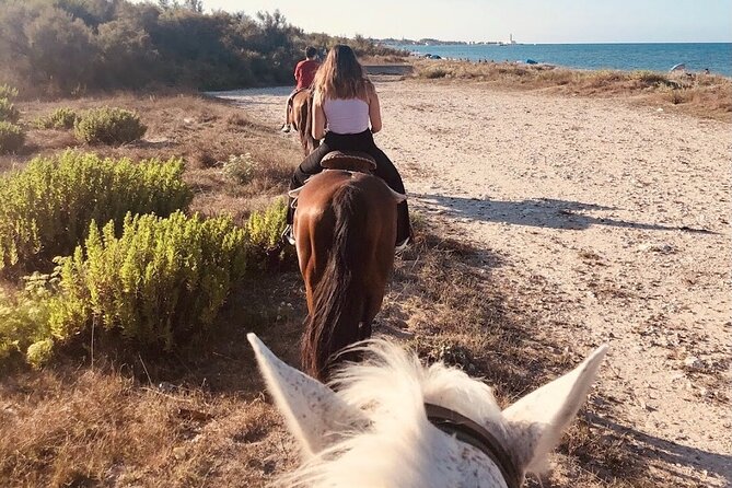 Horse Ride in a Salento Nature Reserve With Transfer From Lecce - Review Highlights