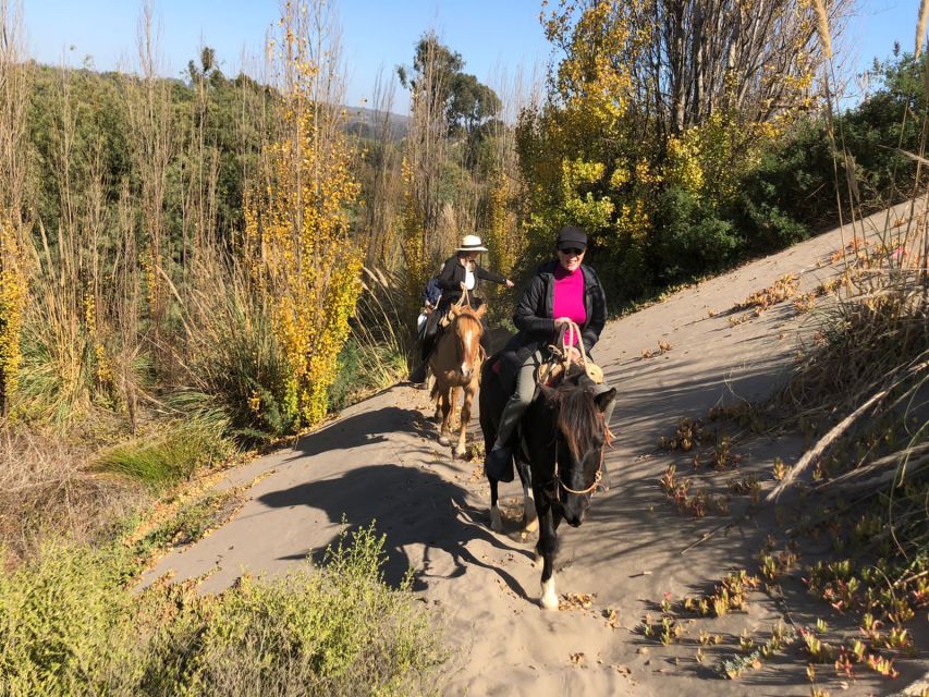 Horse Riding & Barbecue, Ritoque Sand Dunes & Beach F. Valpo - Delicious Barbecue Lunch