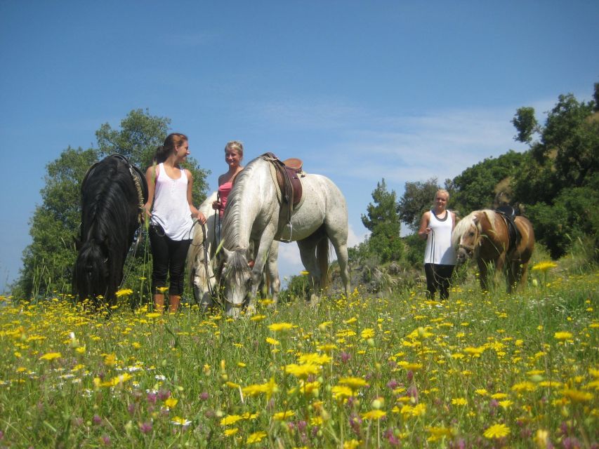 Horse Riding in Kusadasi - Whats Included in the Package