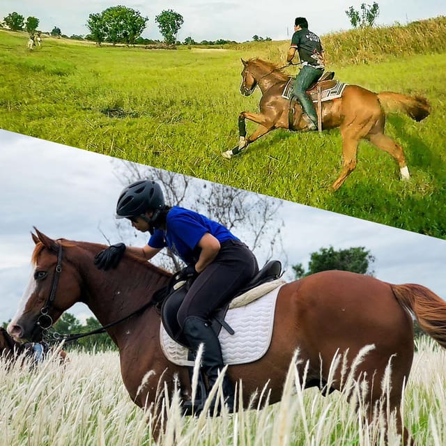 Horse Trail Riding Experience in Bangkok - Itinerary and Transportation