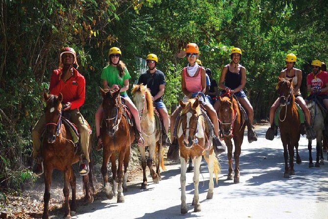 Horseback Riding Along the Beach - Accessibility Options Available