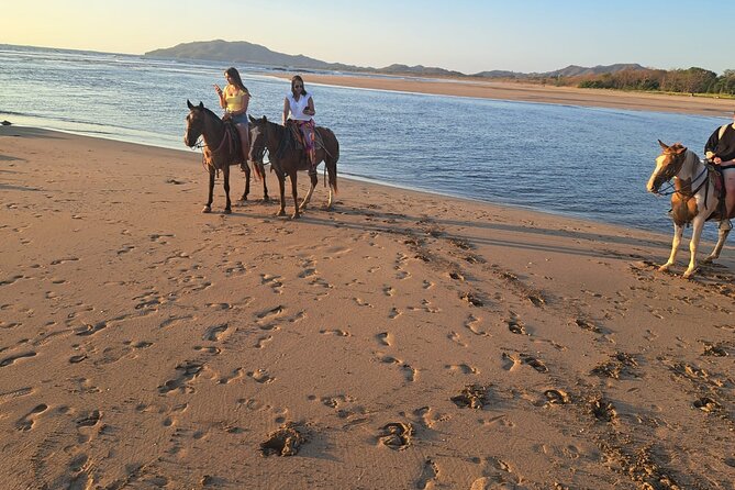 Horseback Riding in Tamarindo Beach - Pricing and Cancellation Policy