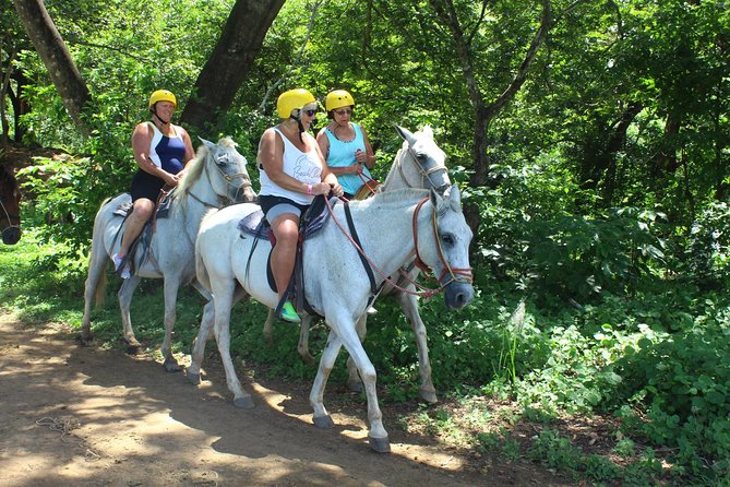 Horseback Riding Jungle and Beach in Playa Flamingo - Requirements and Restrictions