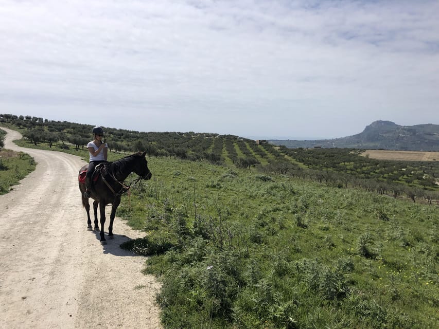 Horseback Riding Through the Olive Groves of Sciacca - Safety and Equipment Details