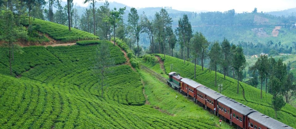 Horton Plains National Park Tour & Scenic Train Ride - Participant Information