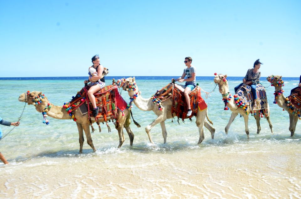 Hurghada: Sea & Desert Camel Ride W/Dinner, Show, Stargazing - Itinerary Overview