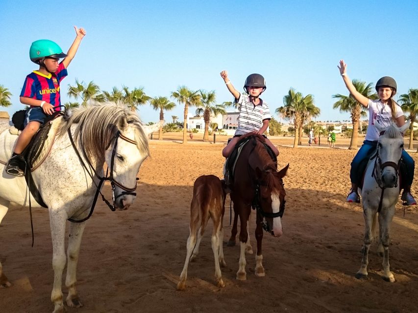 Hurghada: Sunset Sea, Desert Horse W Opt, Dinner, Stargazing - Important Information