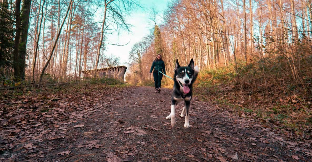 Husky Experience Hiking Althütte - Inclusion and Requirements