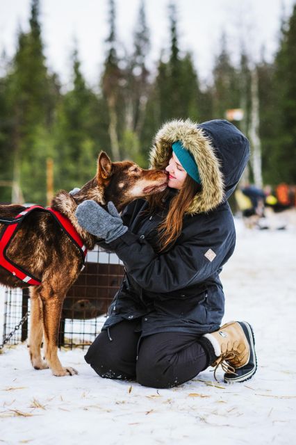 Husky Safari 1 Hour (10 Km) Small-Group Mushing Experience - Detailed Itinerary