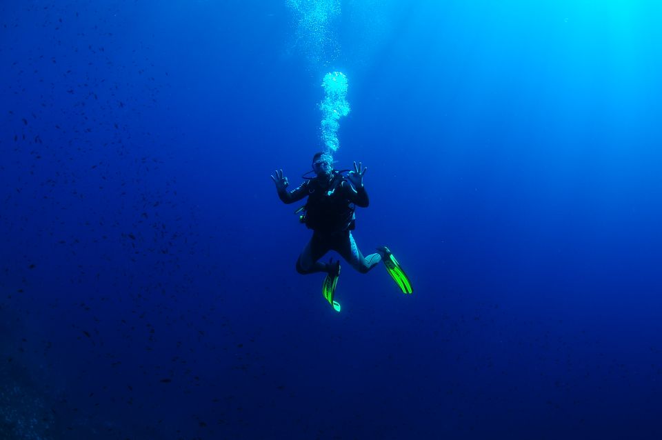 Ibiza: 3.5-Day PADI Open Water Dive Course - Customer Feedback