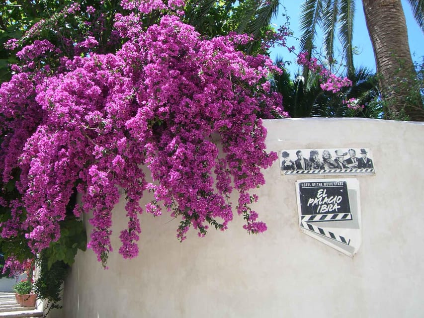 IBIZA : Old Town Guided Tour With a Local - Meeting Point and Essentials