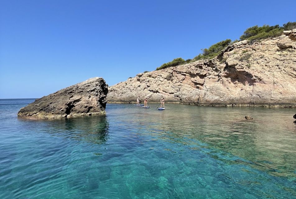 Ibiza: Paddle Board Morning Guided Tour - Participant Restrictions