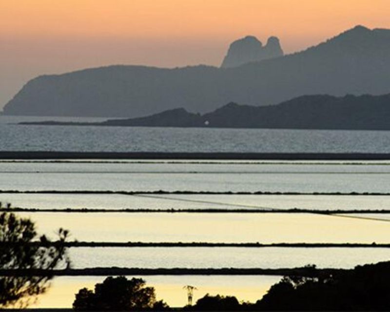 Ibiza: Ses Salinas Bike Excursion - Environmental Commitment