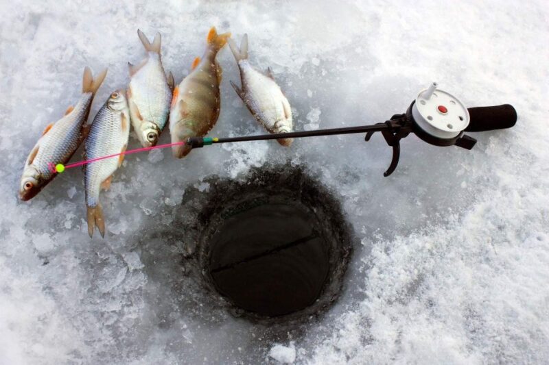 Ice Fishing Adventure in Levi With Salmon Soup - Experience Highlights