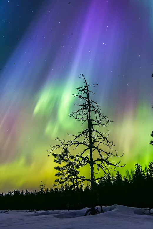Ice Floating in Lapland With Northern Lights - Best Time to Visit