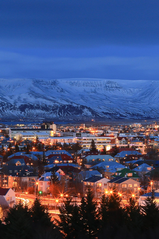 Iceland: Hidden Powers & Northern Lights 6 Day Guided Tour - Inclusions and Exclusions