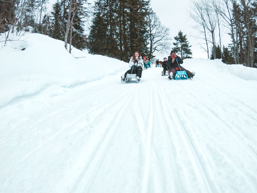 Interlaken: Guided Sledging Adventure - Safety and Requirements