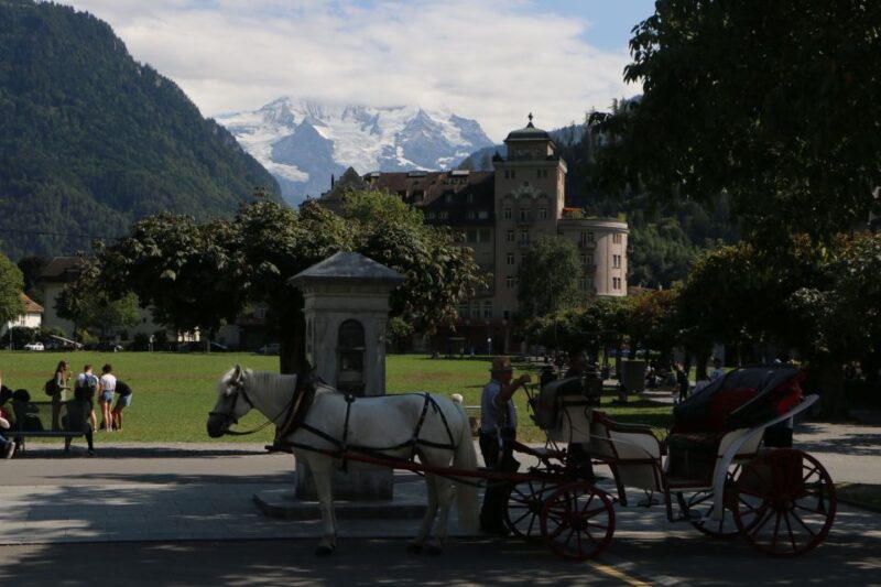 Interlaken: Highlights Tour With a Local by Private Car - Customizable Itinerary Options
