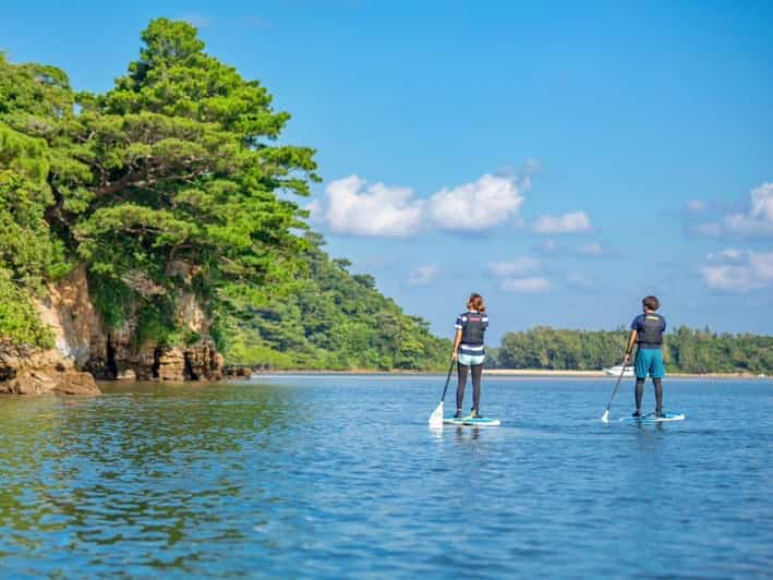 Iriomote Island: Mangrove River SUP Cruising Tour - Important Tour Information