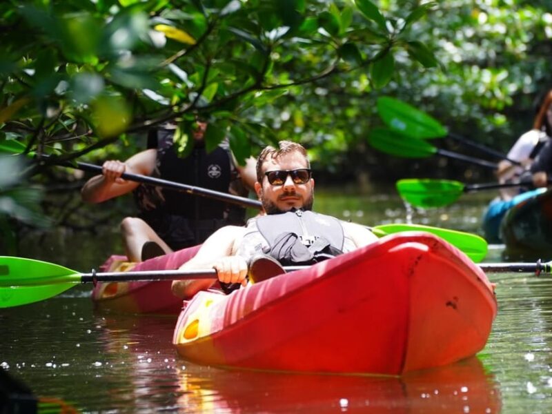 Iriomote: Mangrove Canoe and Yubujima Sightseeing Tour! - Whats Included