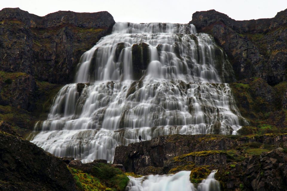 Isafjordur: Dynjandi Waterfall Tour and Icelandic Farm Visit - Gemlufell Farm Visit