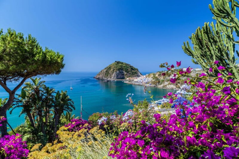 Ischia: Vineyard Tour & Picnic Among the Olive Trees - Important Information