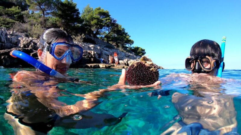 Island Losinj Kayak Tour - Safety Considerations