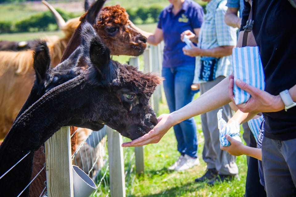 Isle of Arran: Exclusive Private Farm Tour With the Farmer - Important Information